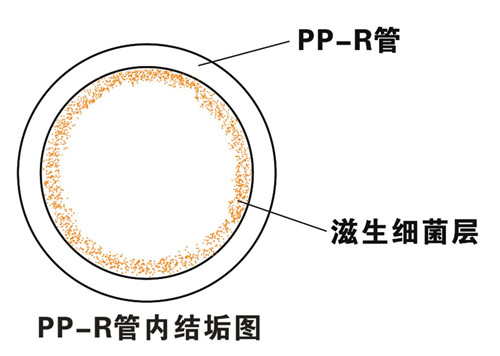 PP-R滲氧，易滋生細菌，有異味；腐蝕金屬連接件，降低使用壽命